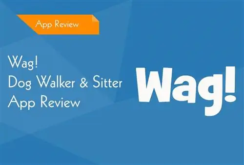 Wag! Dog Taug Kev & Sitter App Review 2023: Pros, Cons & Kev Txiav Txim