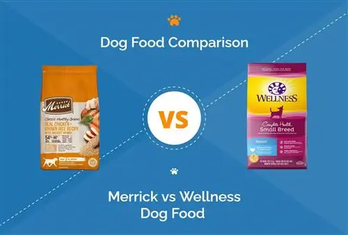 Merrick vs Wellness Dog Food: comparació 2023