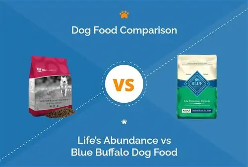 Life's Abundance vs Blue Buffalo Dog Food: comparació 2023