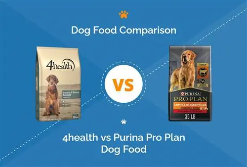 Krmivo pro psy 4he alth vs Purina Pro Plan: Naše hloubkové srovnání pro rok 2023