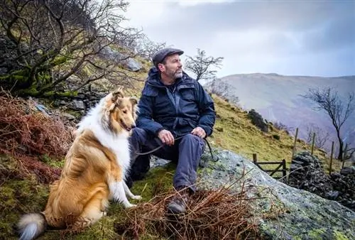 15 trabalhos incomuns para cães ao longo da história: papéis caninos interessantes