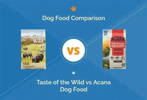 Taste of the Wild vs. Makanan Anjing Acana: Perbandingan Mendalam 2023 Kami