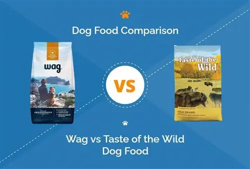 Wag vs Taste of the Wild Dog Food: Vår 2023 djupgående jämförelse