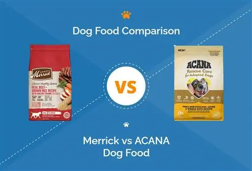 Merrick vs ACANA Dog Food: nuestra comparación detallada de 2023