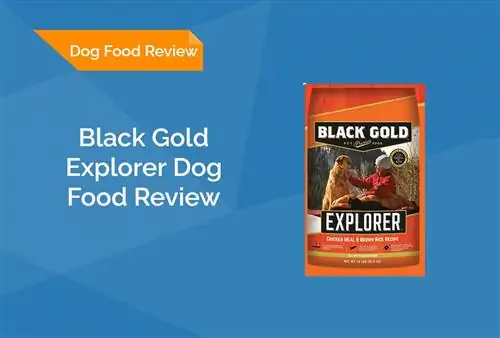 Black Gold Explorer Dog Food Review 2023: Herroepings, voordele & Nadele