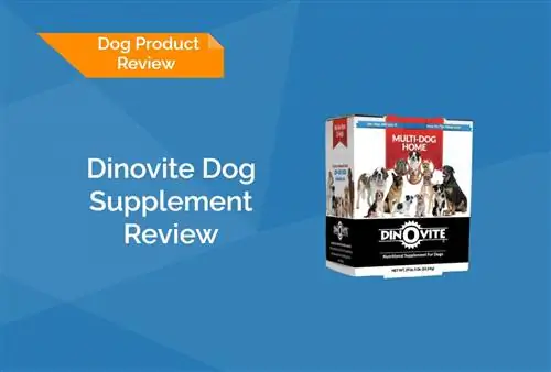 Dinovite Dog Supplement Review 2023: Återkallelser, fördelar & Nackdelar