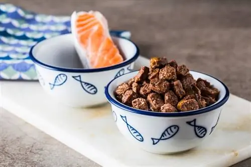 comida para perros con salmon