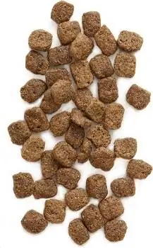 10 Pinakamahusay na High Fiber Dog Foods – 2023 Mga Review & Mga Nangungunang Pinili