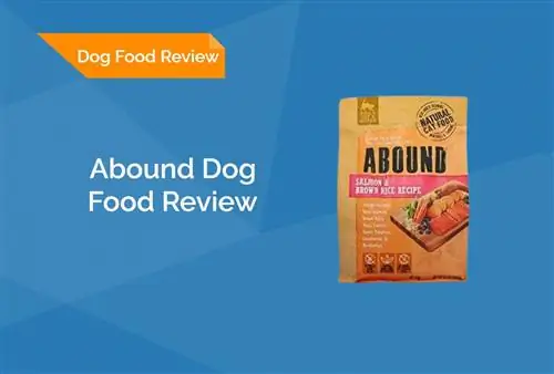 Abound Dog Food Review 2023. Հիշում է, կողմ & Դեմ