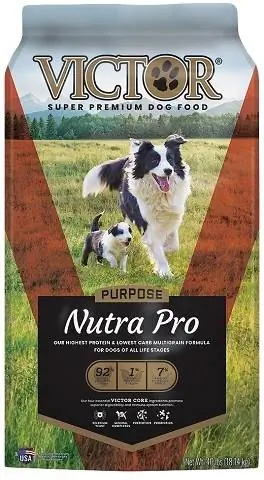 VICTOR Seleziona Nutra Pro Active Dog & Puppy Formula Cibo secco per cani