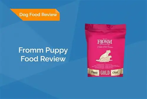 Fromm Puppy Food Review 2023: Återkallelser, fördelar & Nackdelar