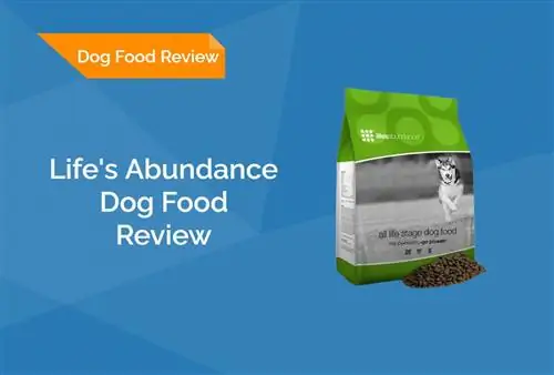 Life's Abundance Dog Food Review 2023: rappels, avantages & inconvénients