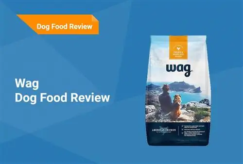 Wag Dog Food Review 2023: Recalls, Pros & Cons