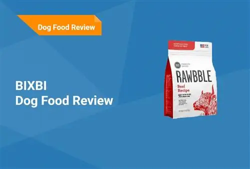 Bixbi Dog Food Review 2023: عمليات الاستدعاء والإيجابيات & سلبيات