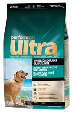 Performatrin Ultra Wholesome Grains وزن صحي مع وصفة السلمون للبالغين