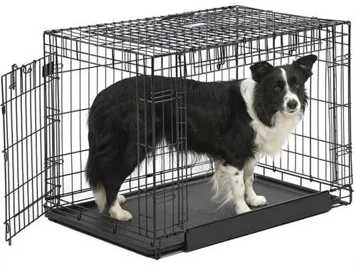 MidWest Ovation Trainer Double Door Collapsible Wire Dog Crate