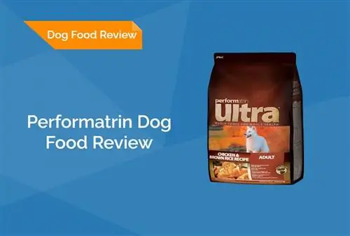 Performatrin Dog Food Review 2023: Эскертүү, жакшы жактары & Кемчиликтери