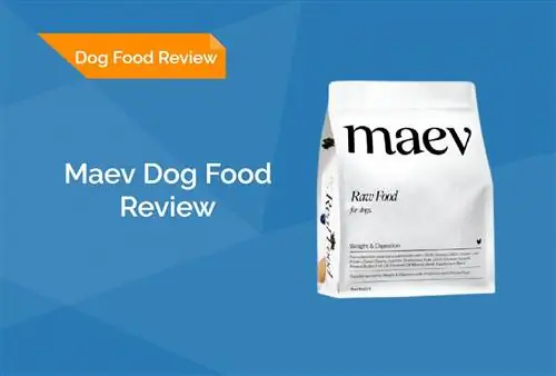 Maev Dog Food Review 2023 : rappels, avantages & inconvénients