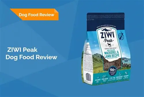 ZIWI Peak Dog Food Review 2023: Rappels, Avantages & Inconvénients