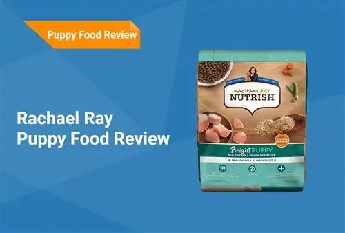 Rachael Ray Puppy Food Review 2023: การเรียกคืน ข้อดี & ข้อเสีย