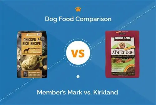 Medlemsmærke vs. Kirkland Hundemad (2023-sammenligning): Hvad skal jeg vælge?