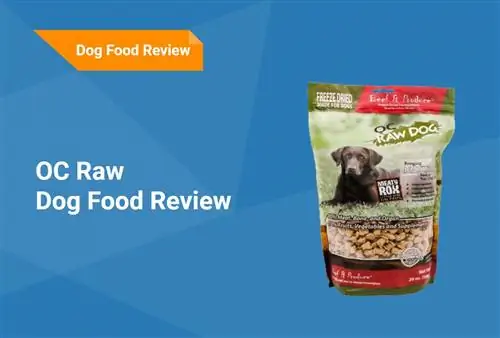 OC Raw Dog Food Review 2023: recordatoris, avantatges & Contres