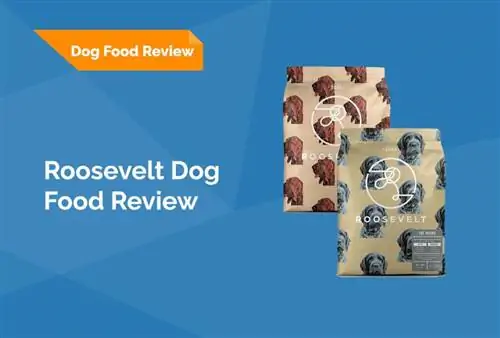 Revisión de alimentos para perros Roosevelt