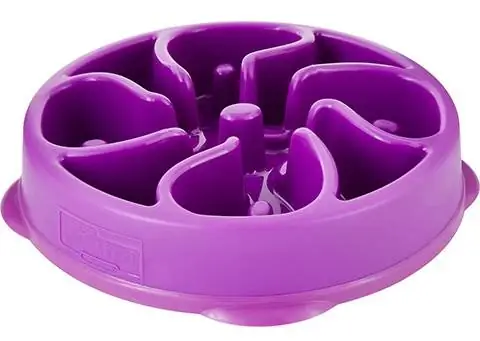 Outward Hound Fun Feeder Bowl pentru câini