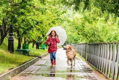 Nena caminant sota la pluja amb un gos