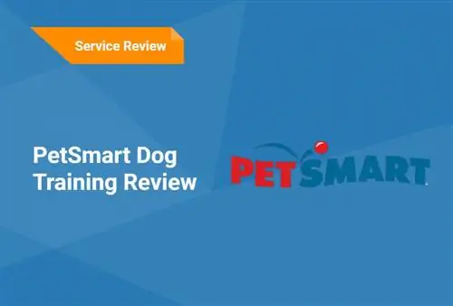 بررسی آموزش سگ هوشمند PetSmart 2023: سوالات متداول، جوانب مثبت & معایب