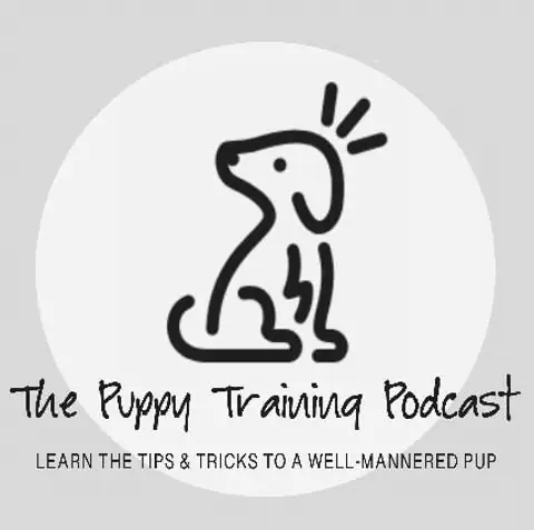 Le podcast de formation des chiots