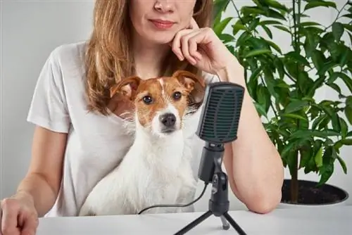 9 meilleurs podcasts pour chiens – 2023 avis &