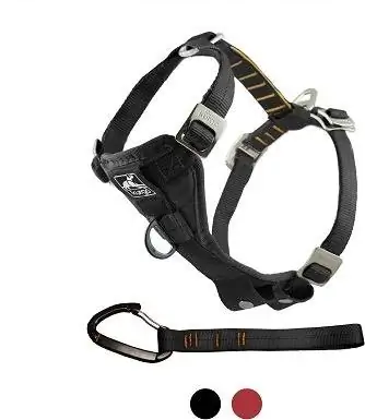 Harness Cerdas Kurgo Tru-Fit