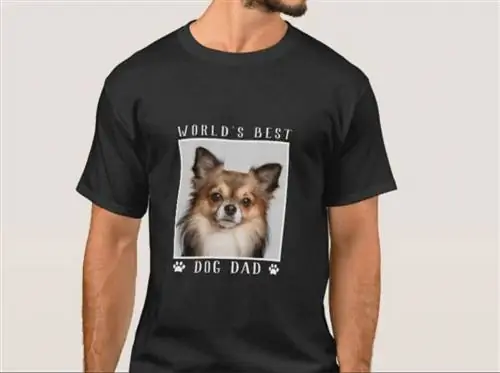 hunde t-shirt