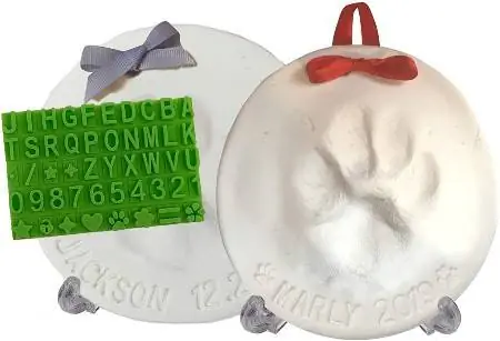 Pet Paw Mold