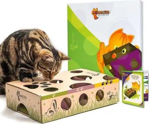 Cat Amazing Interactive Treat Maze and Puzzle Toy