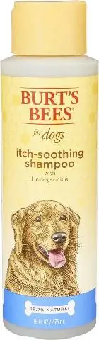 Burt's Bees Kløe beroligende shampoo med kaprifolier til hunde