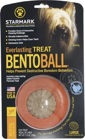 Starmark Everlasting Treat Bento Ball Tough Dog Chew ของเล่น