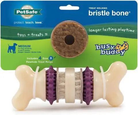 Besige Buddy Bristle Bone Treat Dispenser