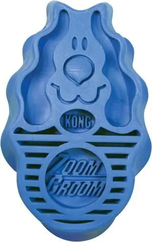 KONG Zoom Bwana harusi