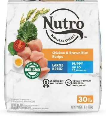 NUTRO NATURAL CHOICE Suurt tõugu kutsikate kuivtoit