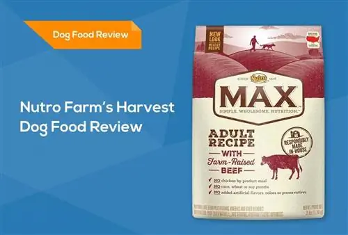 Nutro Farm’s Harvest Dog Food Review 2023: عمليات الاستدعاء والإيجابيات والسلبيات