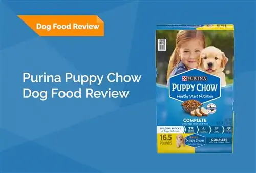 Purina Puppy Chow Dog Food Review 2023: عمليات الاستدعاء والإيجابيات والسلبيات