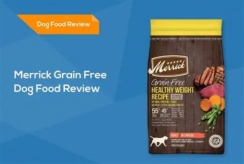 Merrick Grain Free Dog Food Review 2023: Återkallelser, fördelar & Nackdelar