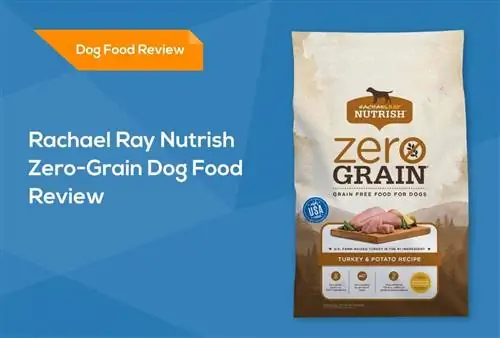 Rachael Ray Nutrish Zero-Grain Dog Food Review 2023: Herroepings, voordele & Nadele