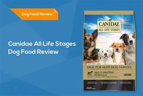 Canidae Všetky životné štádiá Recenzia krmiva pre psov: Stiahnutie, výhody & Zápory