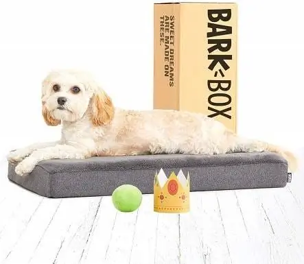 BarkBox