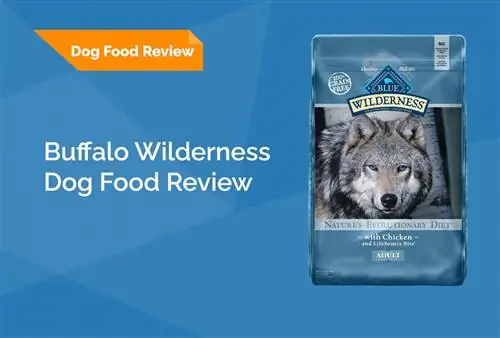 Blue Buffalo Wilderness Dog Food Review 2023: Эстейт, жакшы жактары & Кемчиликтери