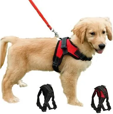 2Dog Harness Mesh Breathable Starehe Pet Vest Hakuna Kuvuta Adjustable