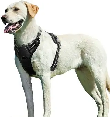 5Eagloo Imbracatura per cani No Pull Large Black, Imbracatura per gilet con clip frontale Imbracatura per auto per cani